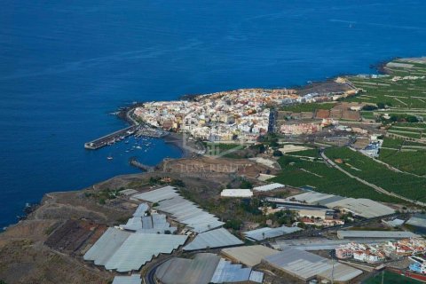Commercial property à vendre à Guia de Isora, Tenerife, Espagne, 6038 m2 No. 181288 - photo 5