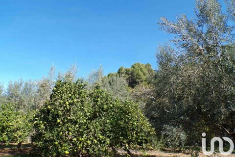 House zum Verkauf in Soller, Mallorca, Spanien 6 Schlafzimmer, 234 m2 Nr. 154134 - Foto 12