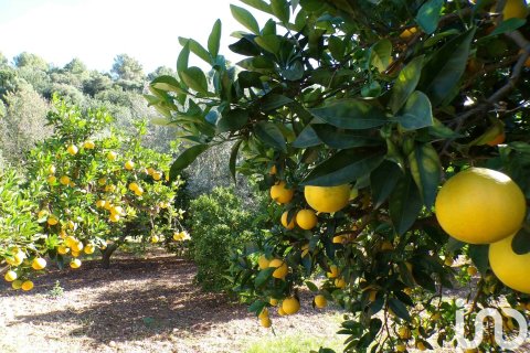 House zum Verkauf in Soller, Mallorca, Spanien 6 Schlafzimmer, 234 m2 Nr. 154134 - Foto 8