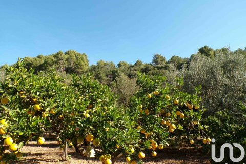 House zum Verkauf in Soller, Mallorca, Spanien 6 Schlafzimmer, 234 m2 Nr. 154134 - Foto 7