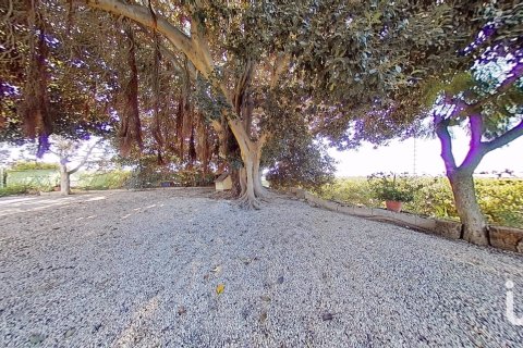 Māja pārdošanā Crevillent, Alicante, Spānijā 5 istabas, 265 m2 Nr. 154129 - attēls 6