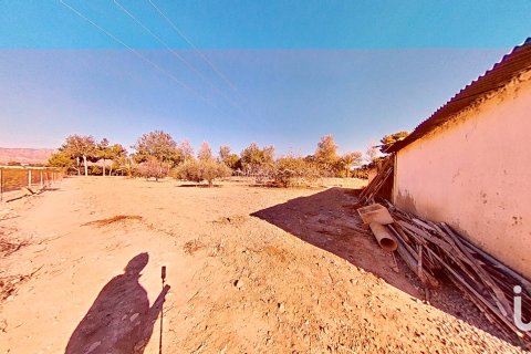 Māja pārdošanā Crevillent, Alicante, Spānijā 5 istabas, 265 m2 Nr. 154129 - attēls 7