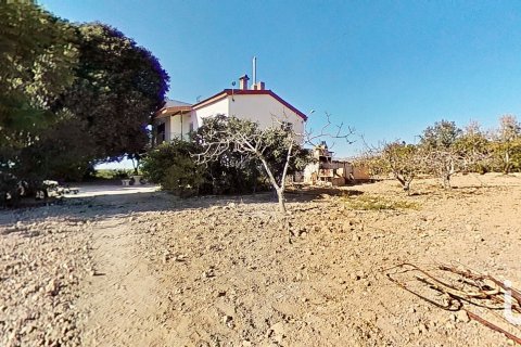 Māja pārdošanā Crevillent, Alicante, Spānijā 5 istabas, 265 m2 Nr. 154129 - attēls 3