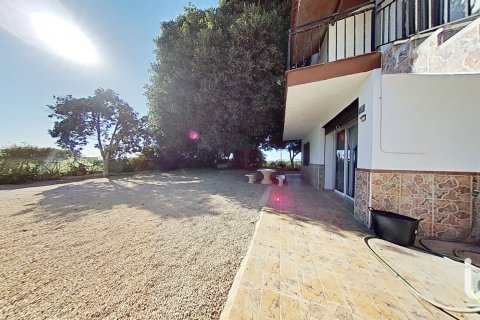 Māja pārdošanā Crevillent, Alicante, Spānijā 5 istabas, 265 m2 Nr. 154129 - attēls 5