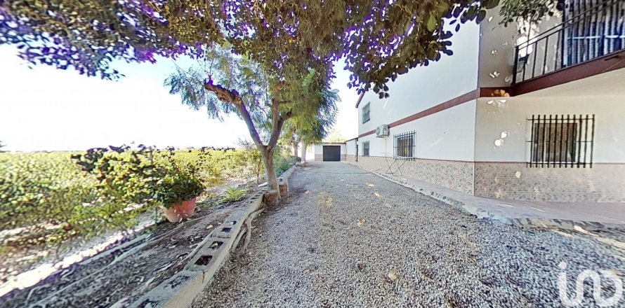 Māja Crevillent, Alicante, Spānijā 5 istabas, 265 m2 Nr. 154129