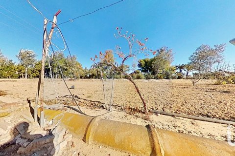 Māja pārdošanā Crevillent, Alicante, Spānijā 5 istabas, 265 m2 Nr. 154129 - attēls 8