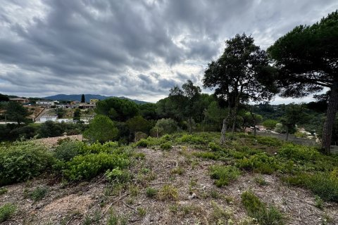 Land plot à vendre Lloret de Mar, Girona, EspagneNo. 139174 - photo 5