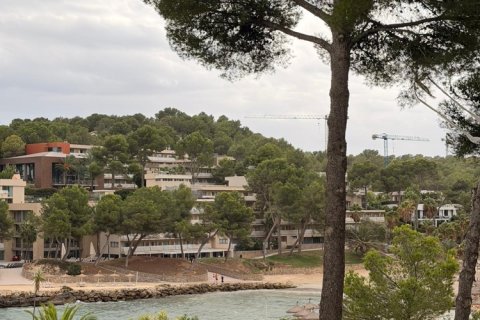 Apartment for rent Cala Vinyes, Mallorca, Spain 2 bedrooms, 68 sq.m. No. 139179 - photo 10