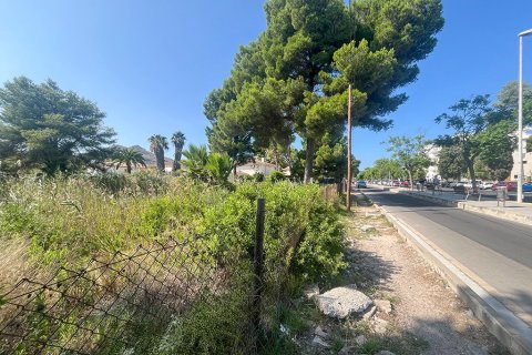 Zemes gabals pārdošanā Mallorca, Spānijā Nr. 143456 - attēls 7