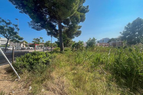 Zemes gabals pārdošanā Mallorca, Spānijā Nr. 143456 - attēls 5