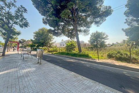 Zemes gabals pārdošanā Mallorca, Spānijā Nr. 143456 - attēls 4