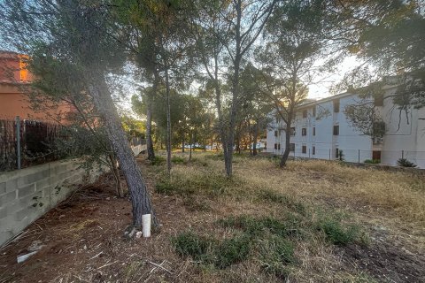 Tomt till salu i Santa Ponsa, Mallorca, Spanien 387 kvm. Nr. 143453 - foto 4
