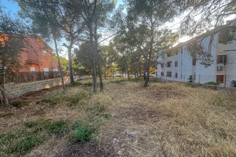 Tomt till salu i Santa Ponsa, Mallorca, Spanien 387 kvm. Nr. 143453 - foto 3