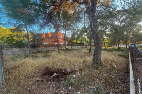 Tomt till salu i Santa Ponsa, Mallorca, Spanien 387 kvm. Nr. 143453 - foto 2