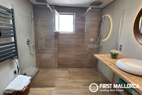 Penthouse à vendre à Palma de Majorca, Mallorca, Espagne, 4 chambres, 132 m2 No. 178133 - photo 13