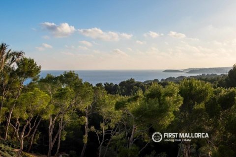 Huvila myytävänä Costa D'en Blanes, Mallorca, Espanja, 4 makuuhuonetta, 372 m2 No. 178131 - kuva 13