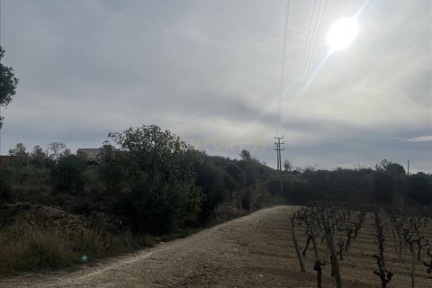 Land plot for sale in Vilafranca Del Penedes, Barcelona, Spain No. 167184 - photo 8