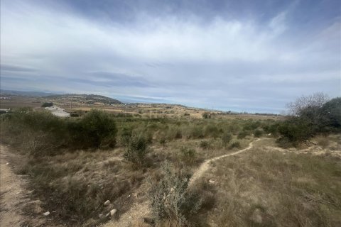 Land plot for sale in Vilafranca Del Penedes, Barcelona, Spain No. 167184 - photo 4