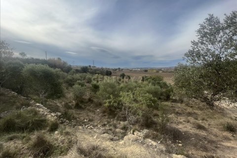 Land plot for sale in Vilafranca Del Penedes, Barcelona, Spain No. 167184 - photo 2