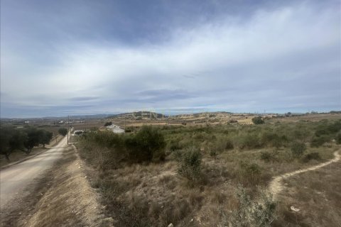 Land plot for sale in Vilafranca Del Penedes, Barcelona, Spain No. 167184 - photo 5