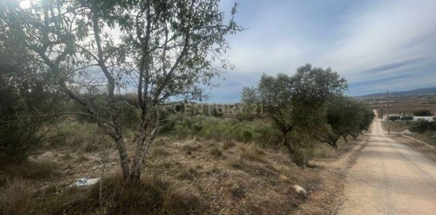 Land plot in Vilafranca Del Penedes, Barcelona, Spain No. 167184