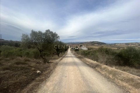 Land plot for sale in Vilafranca Del Penedes, Barcelona, Spain No. 167184 - photo 6