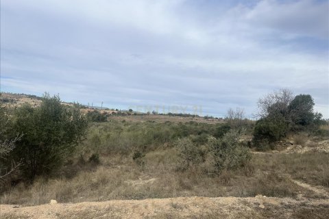 Land plot for sale in Vilafranca Del Penedes, Barcelona, Spain No. 167184 - photo 3