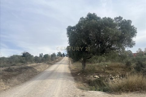 Land plot for sale in Vilafranca Del Penedes, Barcelona, Spain No. 167184 - photo 10