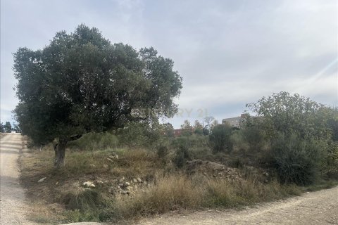 Land plot for sale in Vilafranca Del Penedes, Barcelona, Spain No. 167184 - photo 9