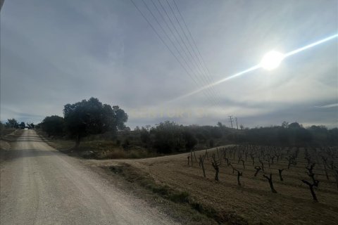 Land plot for sale in Vilafranca Del Penedes, Barcelona, Spain No. 167184 - photo 7