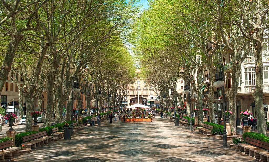 Apartment in Palma de Majorca, Mallorca, Spain 3 bedrooms, 107 sq.m. No. 192402