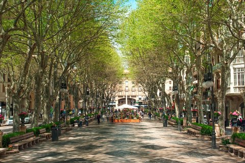Apartamento en venta en Palma de Mallorca, Mallorca, España 3 dormitorios, 107 m2 No. 192402 - foto 21