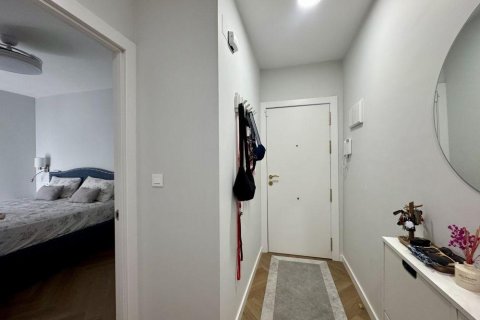 Kattohuoneisto myytävänä Torrevieja, Alicante, Espanja, 2 makuuhuonetta, 60 m2 No. 142716 - kuva 5