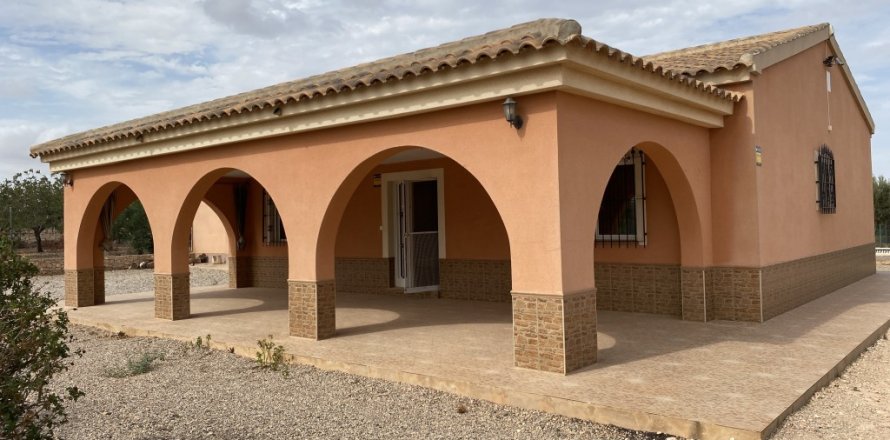 Finca à Fuente Alamo, Murcia, Espagne 4 chambres, 109 m2 No. 142718
