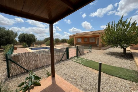 Finca till salu i Fuente Alamo, Murcia, Spanien 4 sovrum, 109 kvm. Nr. 142718 - foto 24