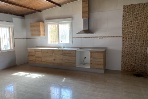 Finca till salu i Fuente Alamo, Murcia, Spanien 4 sovrum, 109 kvm. Nr. 142718 - foto 21