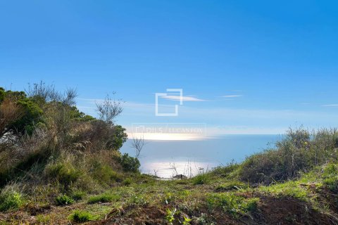 Вилла в Кальдес д'Эстрак, Барселона, Испания 4 спальни, 275м2 №150666