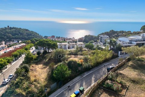 Villa for sale in Caldes d'Estrac, Barcelona, Spain 4 bedrooms, 275 sq.m. No. 150666 - photo 25