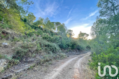 Tontti myytävänä Ador, Valencia, Espanja , 4006 m2 No. 153065 - kuva 24