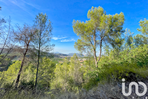 Tontti myytävänä Ador, Valencia, Espanja , 4006 m2 No. 153065 - kuva 9