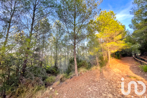 Tontti myytävänä Ador, Valencia, Espanja , 4006 m2 No. 153065 - kuva 19