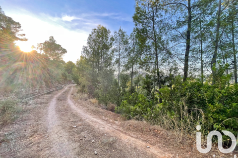 Tontti myytävänä Ador, Valencia, Espanja , 4006 m2 No. 153065 - kuva 10