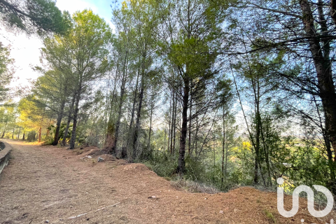 Tontti myytävänä Ador, Valencia, Espanja , 4006 m2 No. 153065 - kuva 26