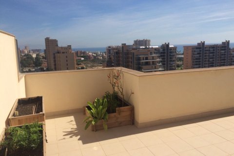 Attico in vendita a Alicante, Spagna 4 camere da letto, 190 mq. N° 166575 - foto 21