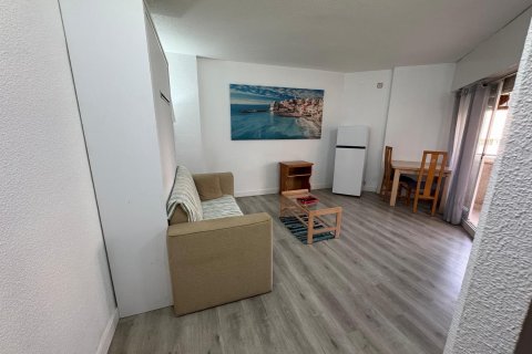 Apartament w Torrevieja, Alicante, Hiszpania 1 pokój, 41 mkw. nr 184362