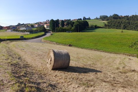 Land zum Verkauf in Gozon, Asturias, Spanien Nr. 182806 - Foto 3