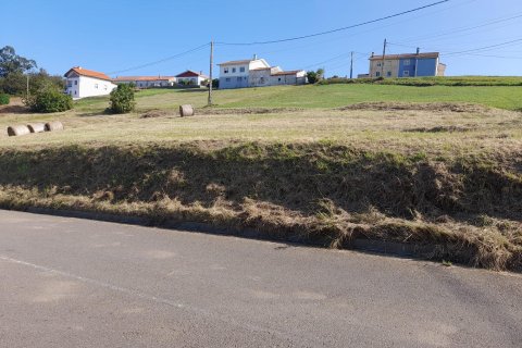 Land zum Verkauf in Gozon, Asturias, Spanien Nr. 182806 - Foto 4