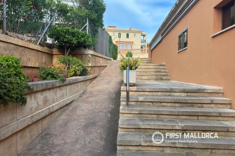 Apartment à louer à Port Adriano, Mallorca, Espagne, 4 chambres, 140 m2 No. 177325 - photo 26