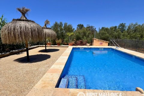 Finca vuokrattavana Campos, Mallorca, Espanja, 1 makuuhuone, 78 m2 No. 177324 - kuva 12