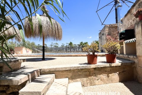 Finca vuokrattavana Campos, Mallorca, Espanja, 1 makuuhuone, 78 m2 No. 177324 - kuva 3